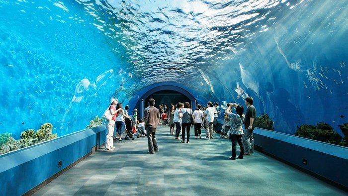 UnderwaterWorldPattaya355