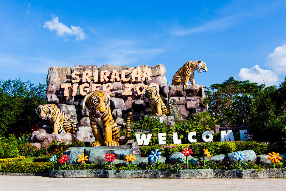 Siracha Circus Pattaya