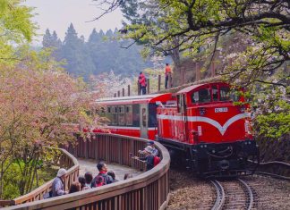 Alishan Mountain, Taiwan