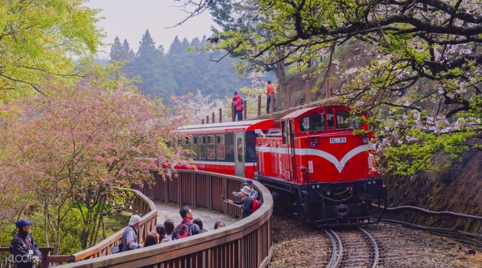 Alishan Mountain, Taiwan