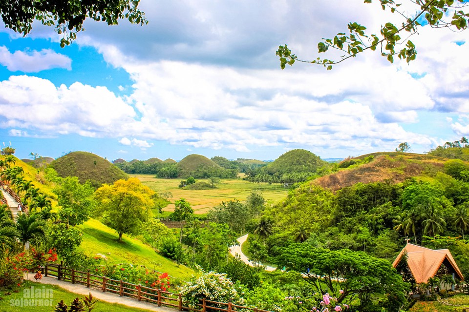 Chocolate Hills