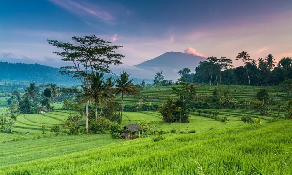 The best time to go to Bali is in May to October