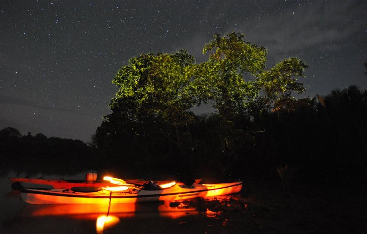 fireflies locboc river