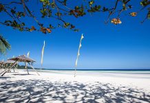 Bohol Island