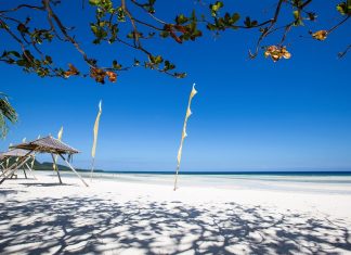 Bohol Island