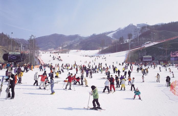 skiing-in-winter-korea skiing-in-winter-korea