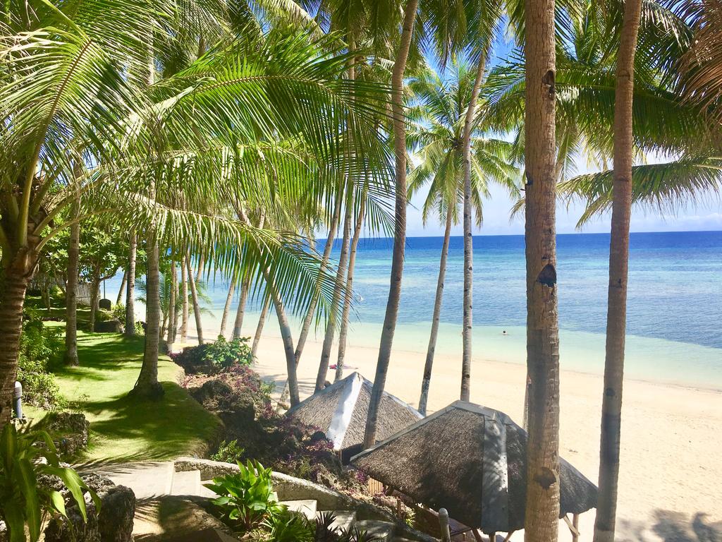 Anda White Beach Resort