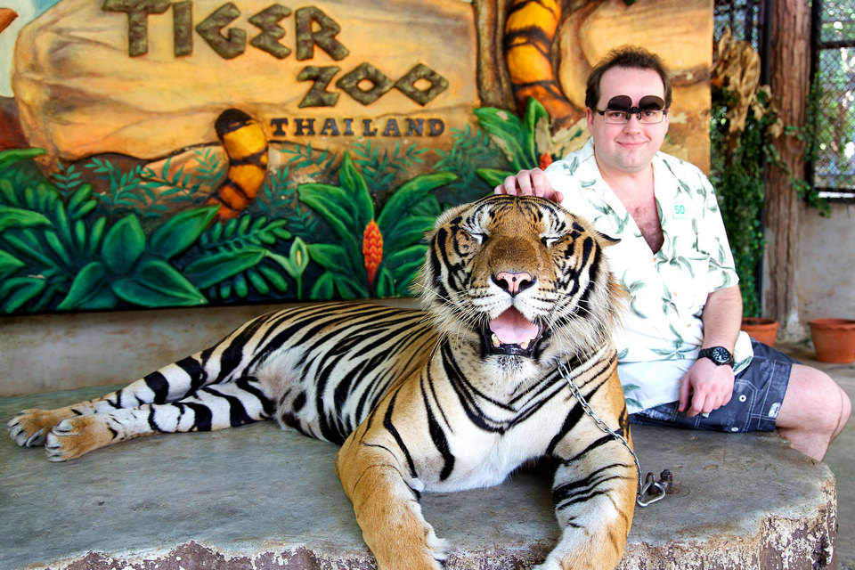 Pattaya "big cat"