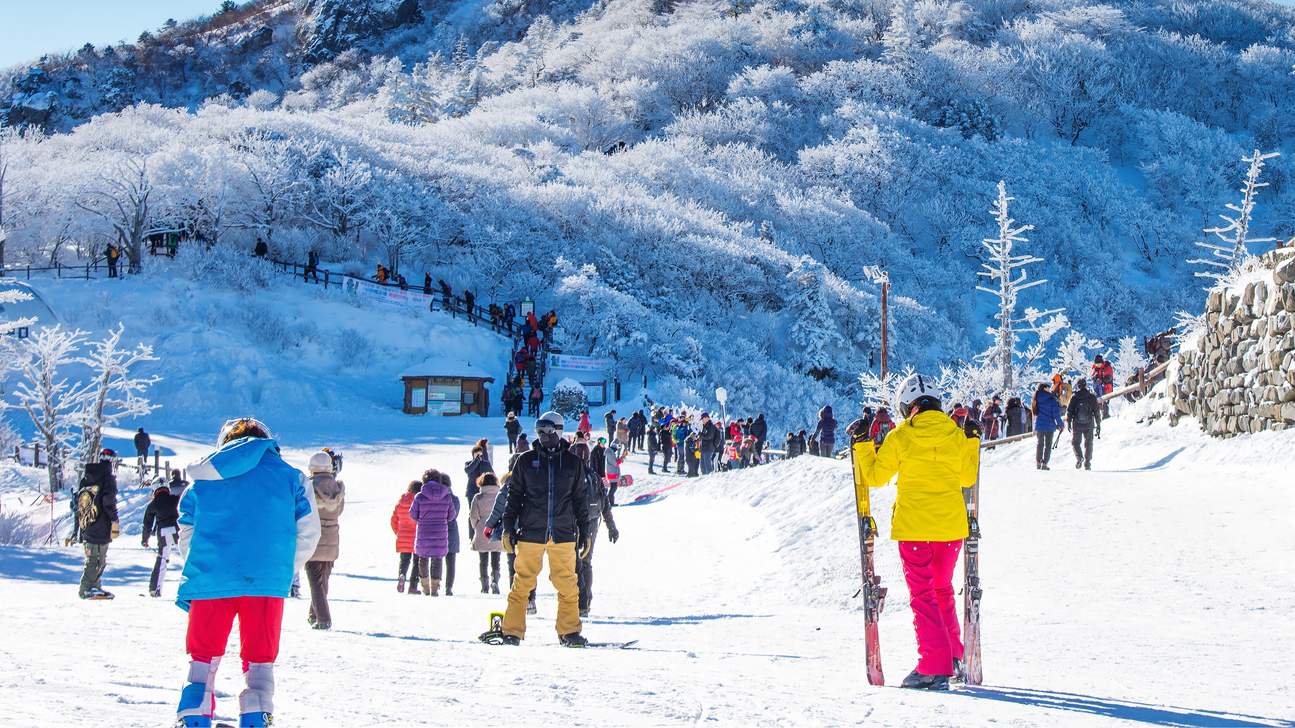 SeoulCityPrivateTransferstoSkiResorts Image credit: best city to celebrate christmas blog.