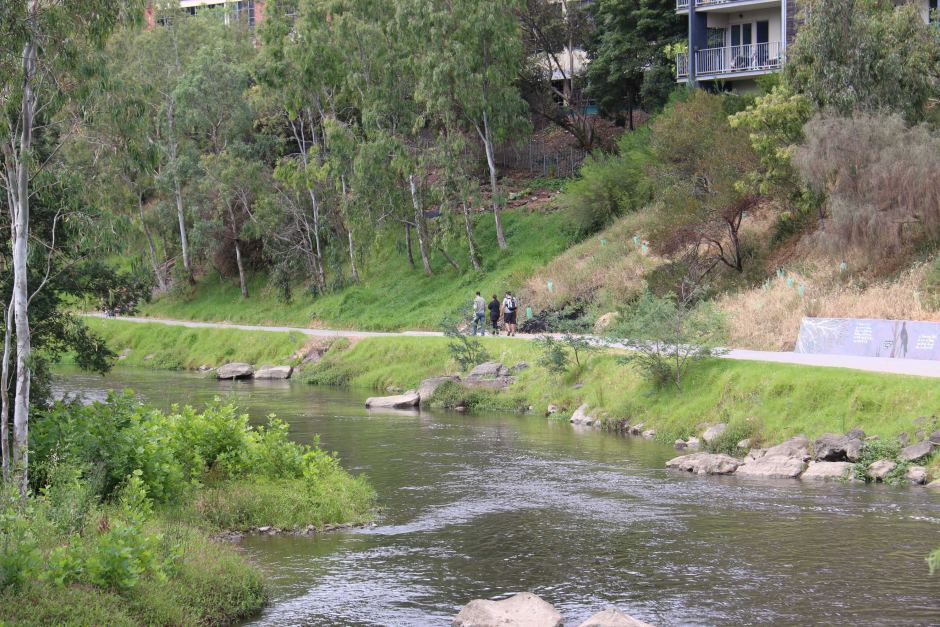 The walking track along the Yarra River in Abbotsford