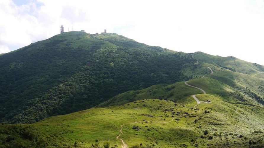 Tai Mo Shan3 hiking hong kong best hiking trails in hong kong easy hiking trails in hong kong