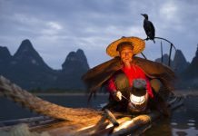 li river fisherman mr huang