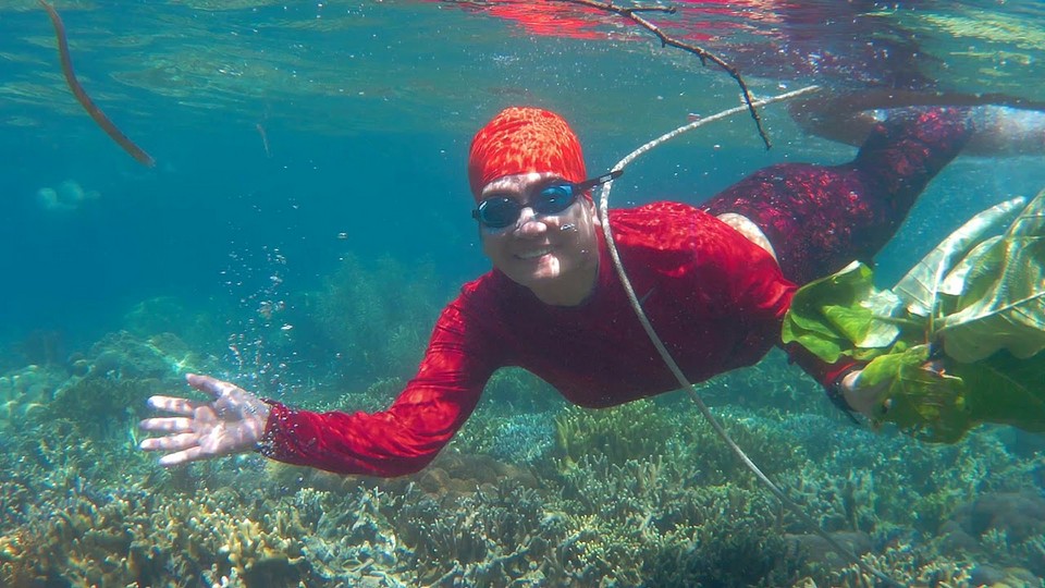coral in coron island-philippines