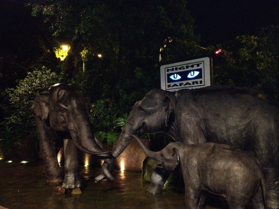 night-safari-singapore 3