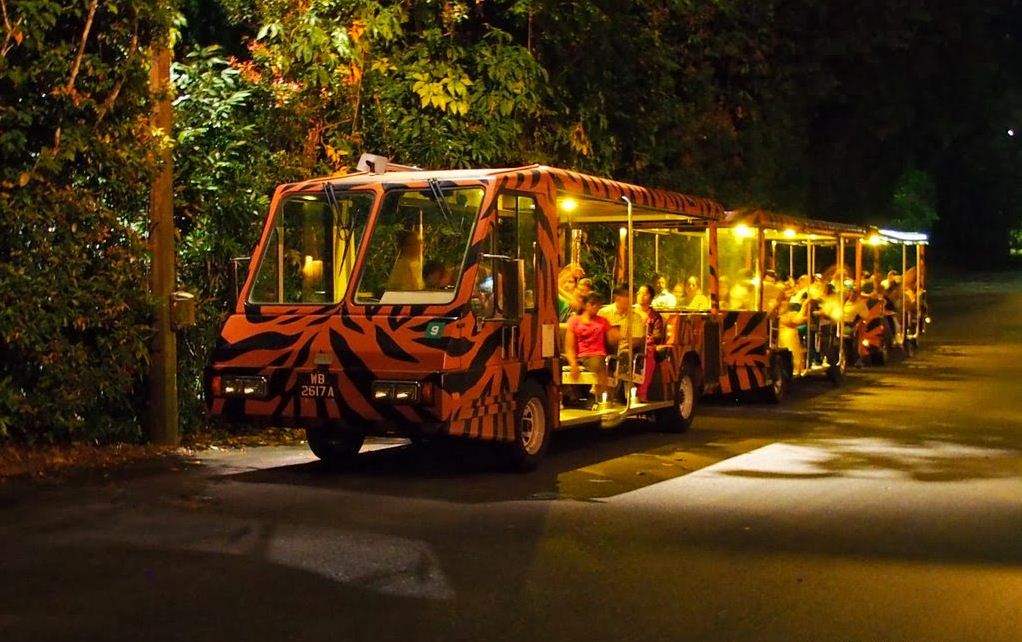 Image by: singapore night safari tips blog.