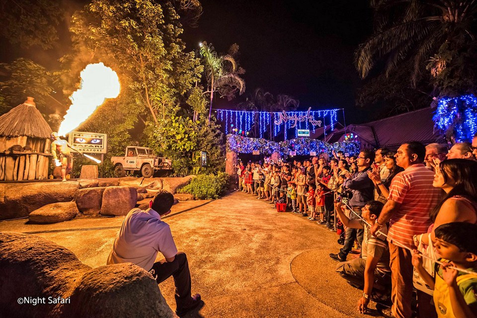 night-safari-singapore-show