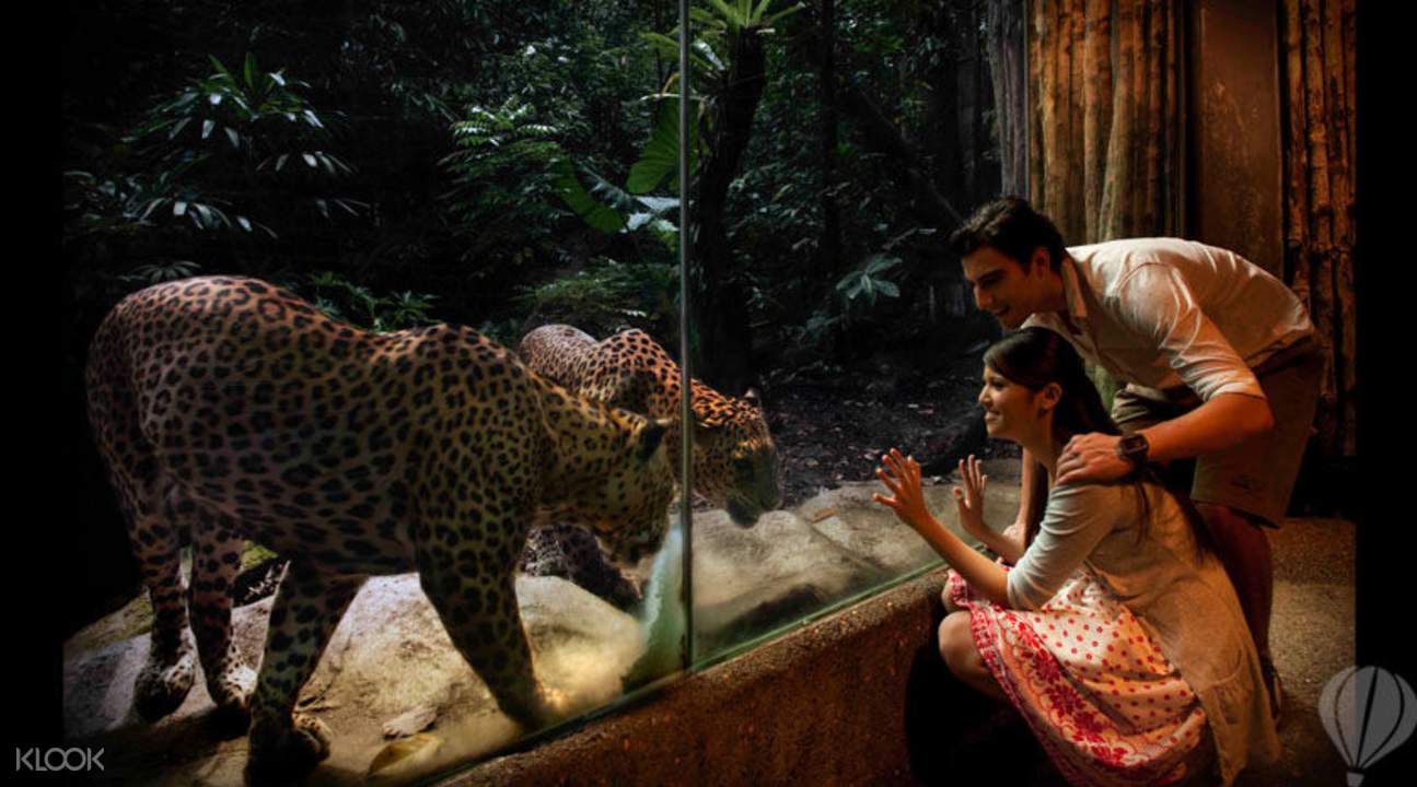 night-safari-singapore