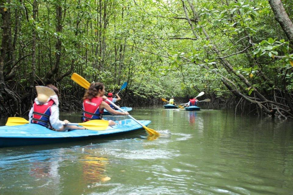 mangrove-langkawi-tours