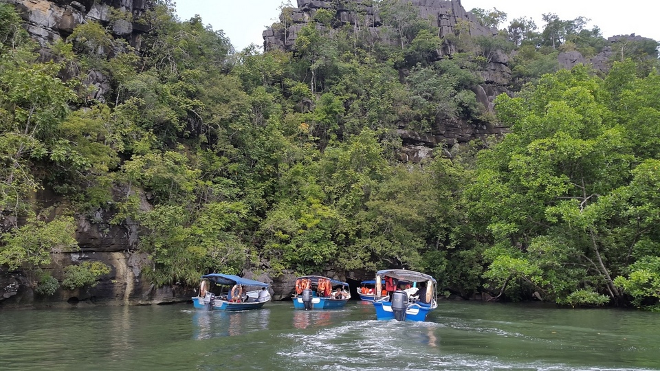 mangrove-langkawi-tours1