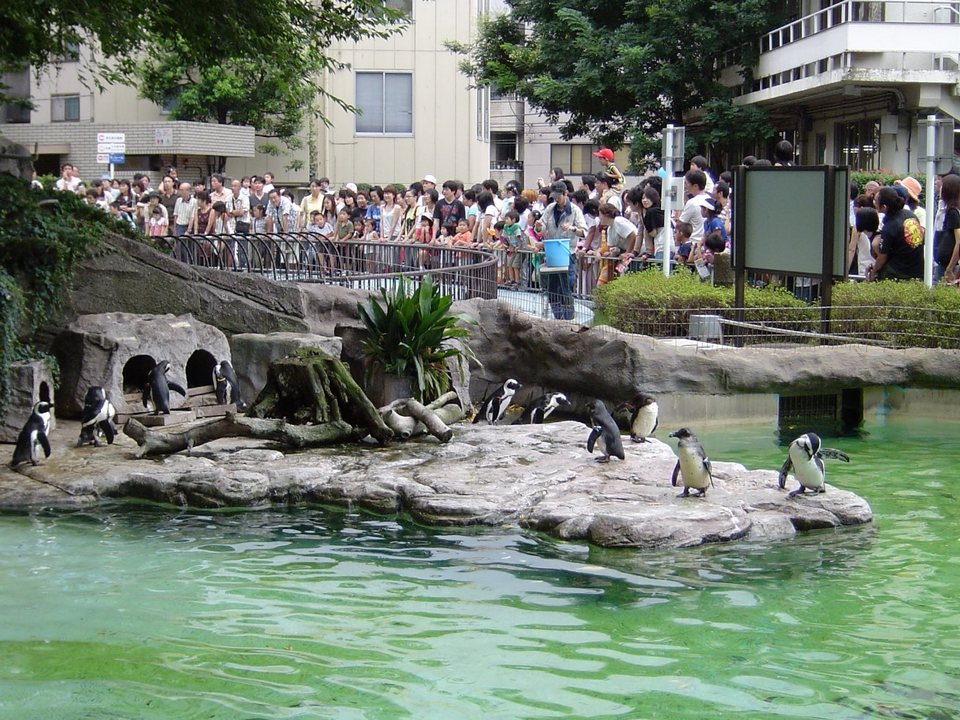 Ueno zoo-tokyo2