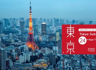 tokyo metro 24-hour ticket 23