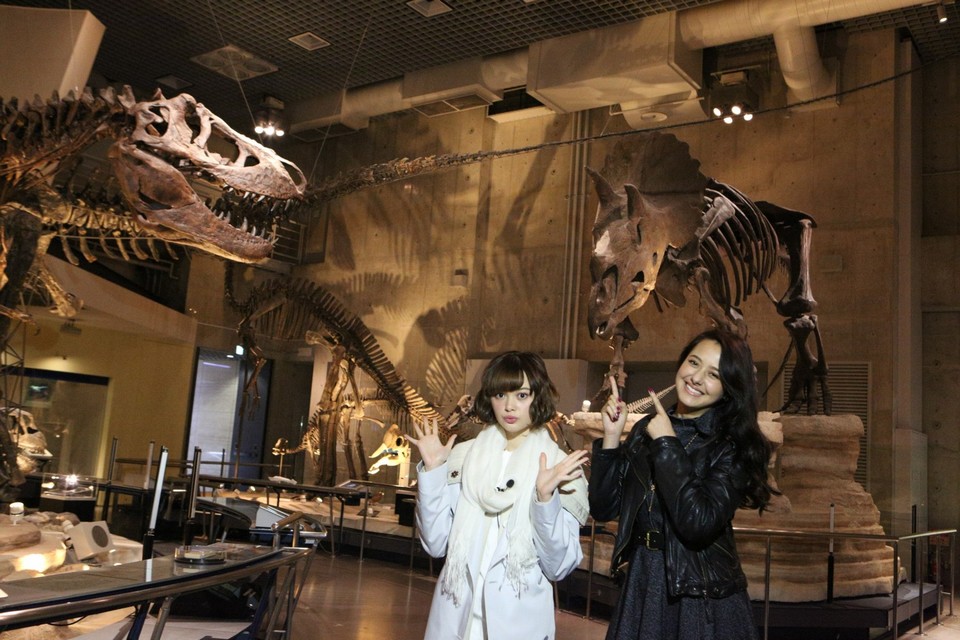 Explore the Wonders of Japan's National Museum of Nature and Science in Ueno