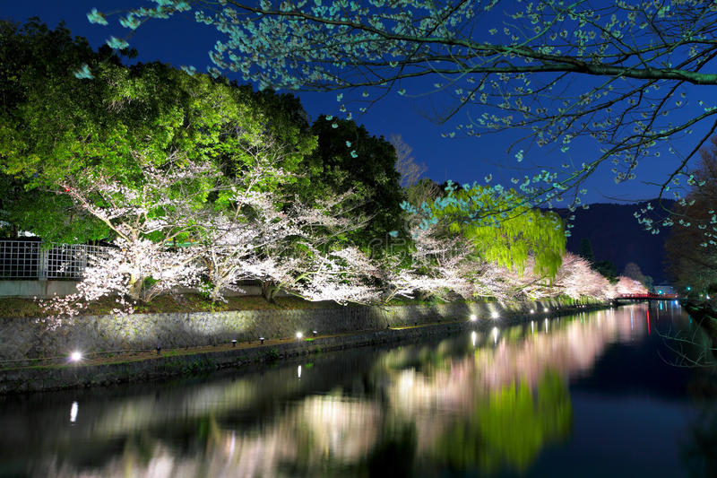 Biwa Lake