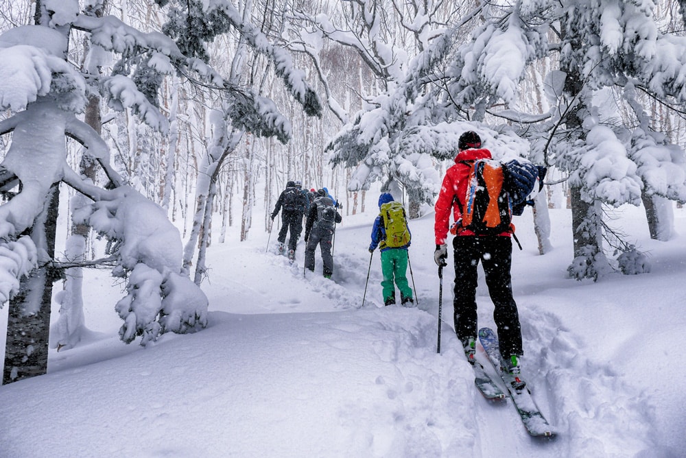 hokkaido-ski-touring2 Credit: best ski resorts in hokkaido blog.
