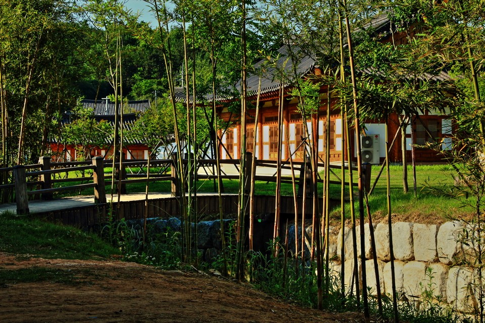 Bamboo Forest, Juknokwon3