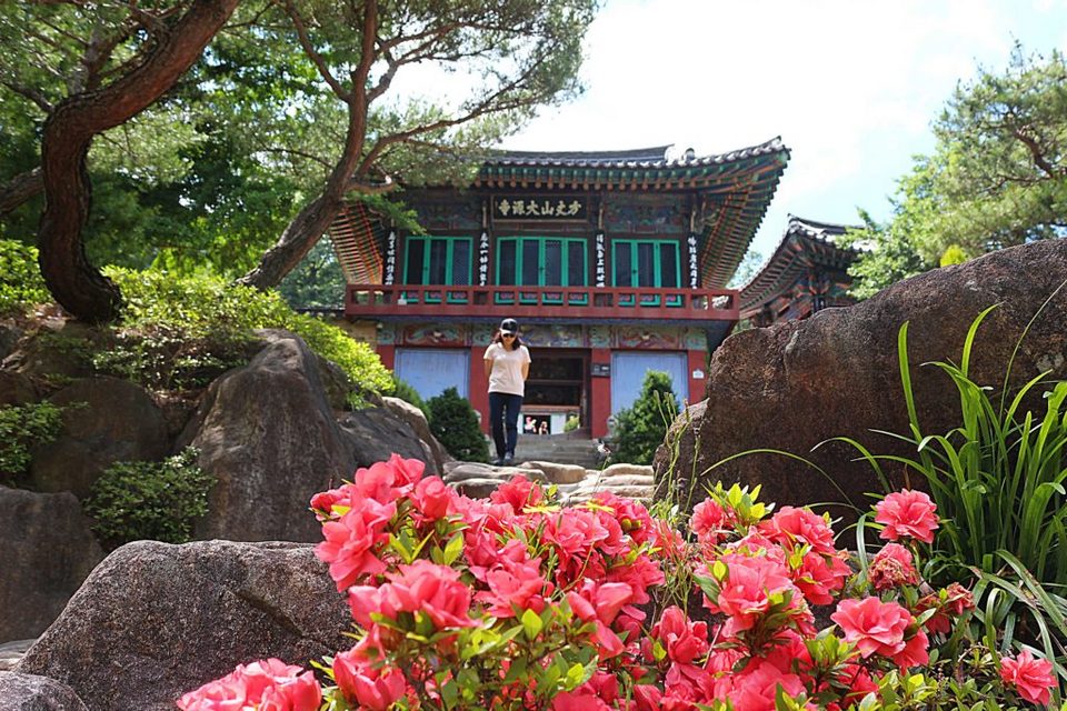 Boseong Daewonsa Temple in cherry blossom festival