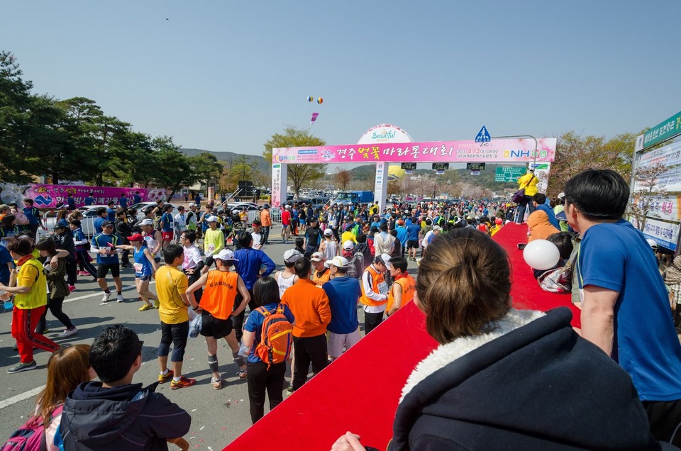 Gyeongju Cherry Blossom Marathon 2013