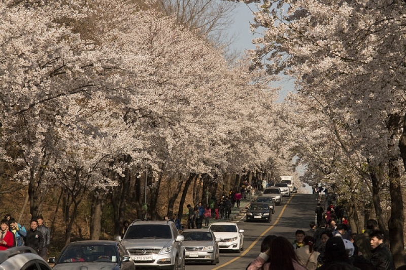 Incheon_April 9th to April 15th
