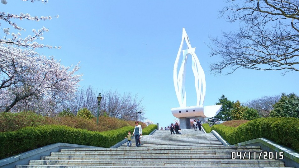 The cherry blossom at Wolmyeong Park