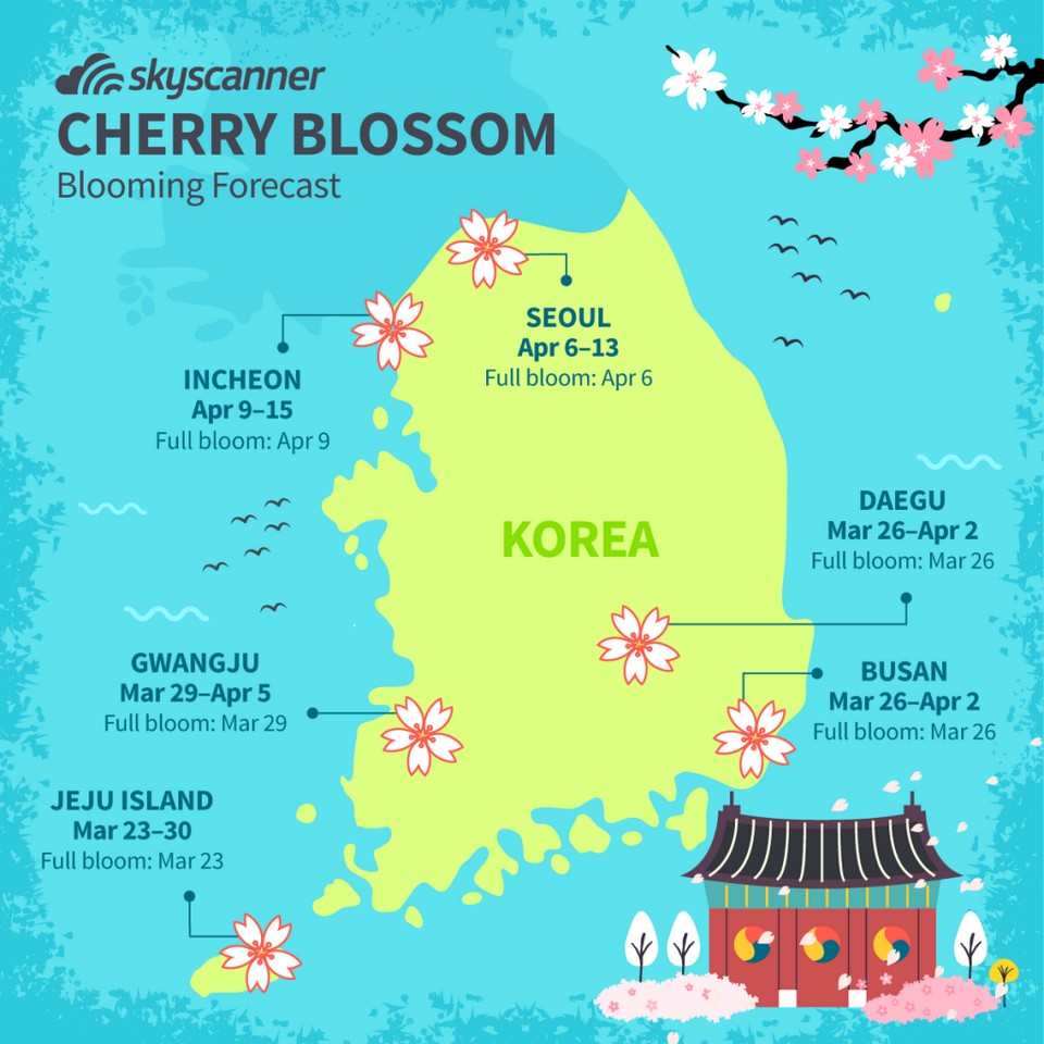 south korea cherry blossom 2020 forecast