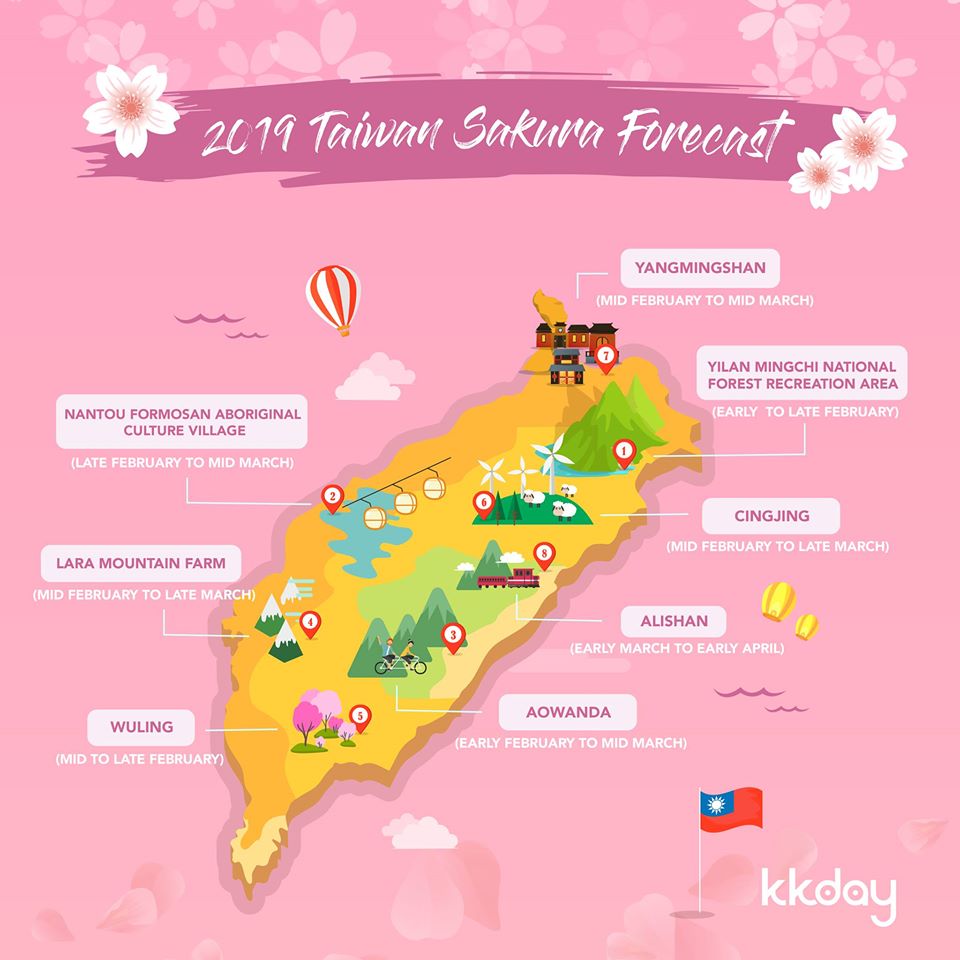 cherry blossom season in taiwan 2019-1