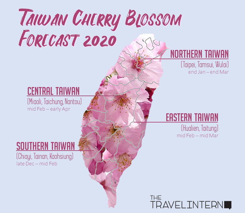 cherry blossom season in taiwan 2020