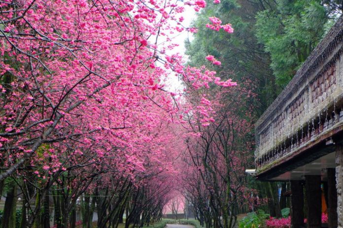 Sun Moon Lake