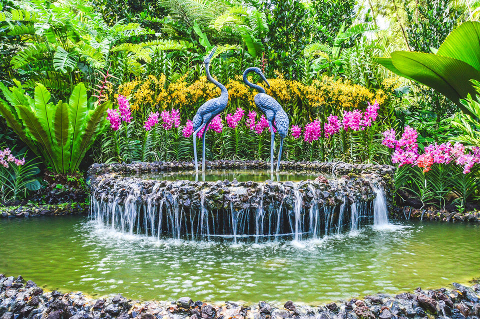 Singapore Botanic Gardens