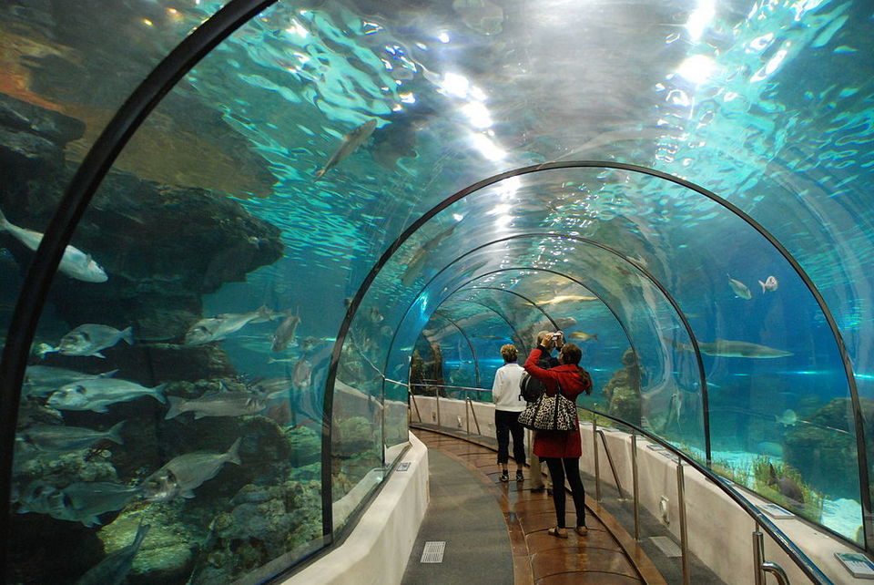 Underwater world