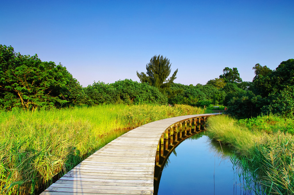 Hong Kong Wetland Park unique things to do in hong kong hong kong hidden gems hong kong unique experiences