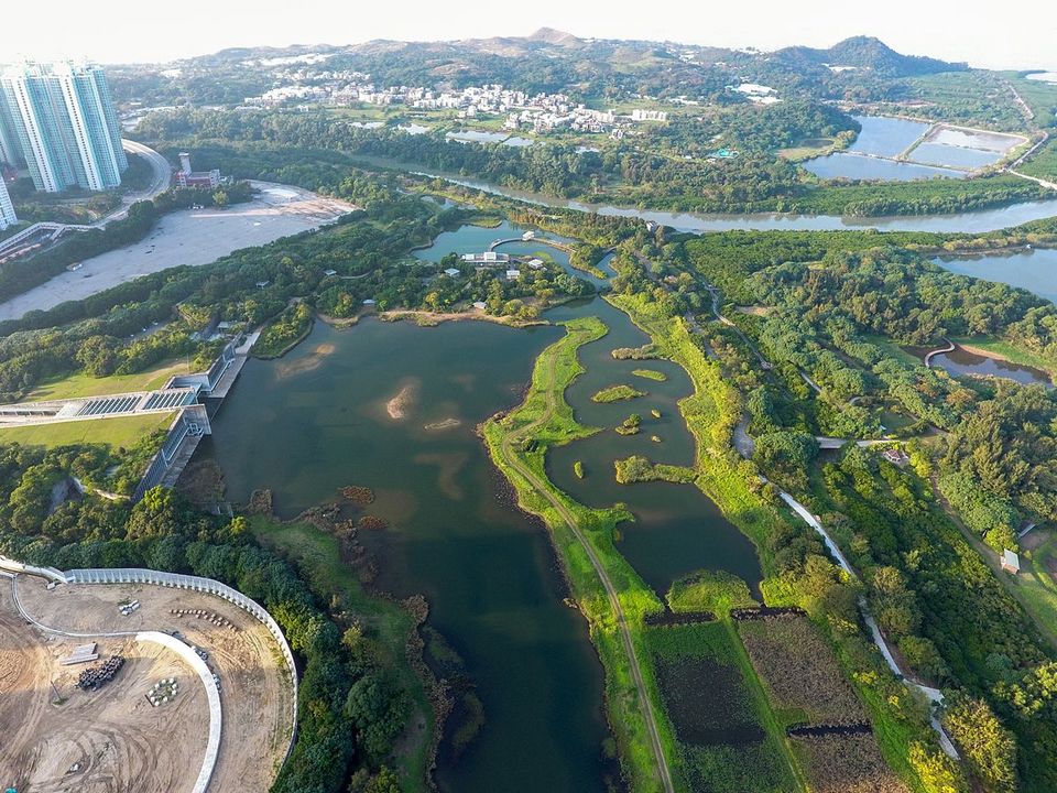 Hong Kong Wetland Park from above unique things to do in hong kong hong kong hidden gems hong kong unique experiences