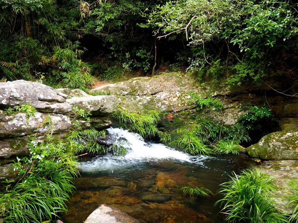 Small waterfall in the stream at the top of Mirror Pool Cascade, Plover Cove
