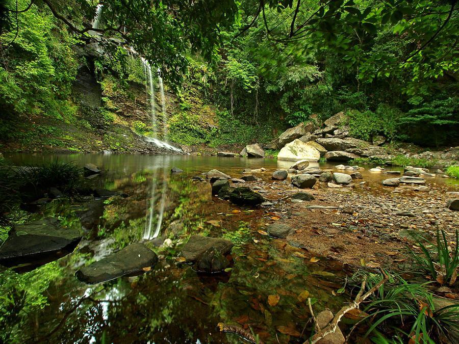 Waterfalls of Plover Cove