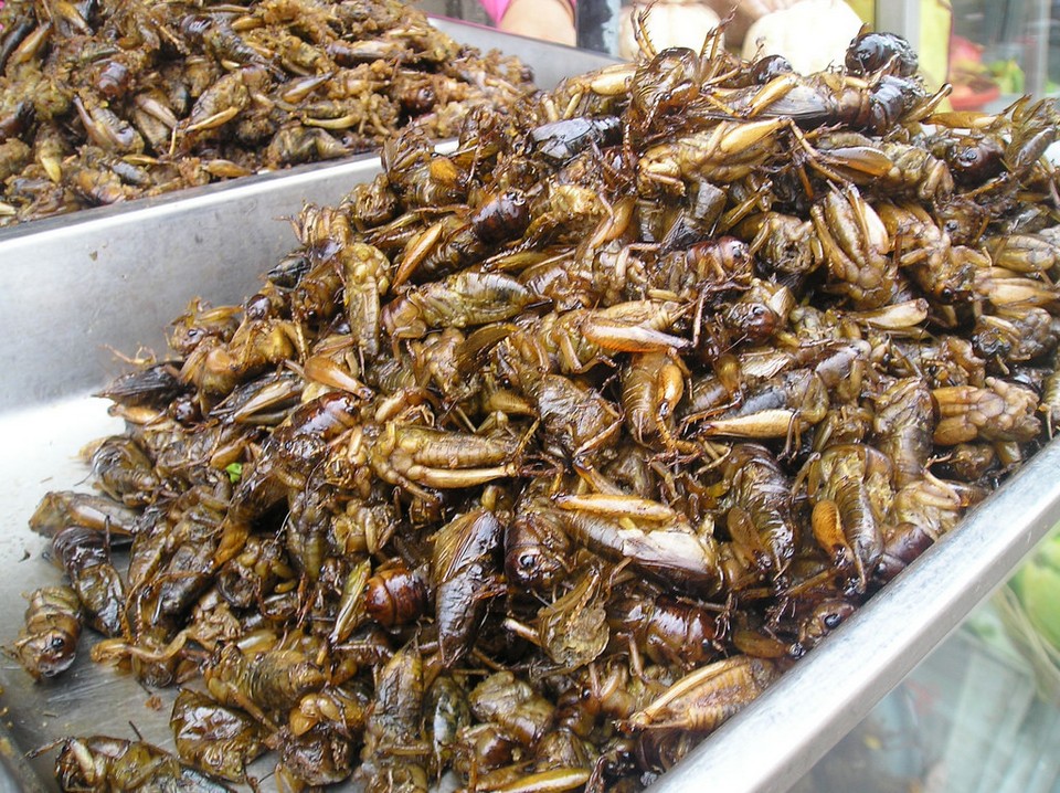 Fried crickets, Russian Market