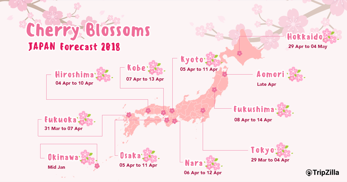 cherry blossom japan 2018 forecast map