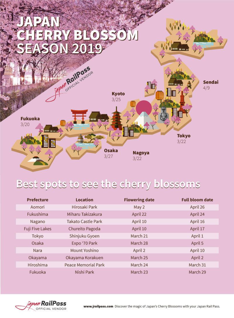 cherry-blossom-japan-2019-forecast