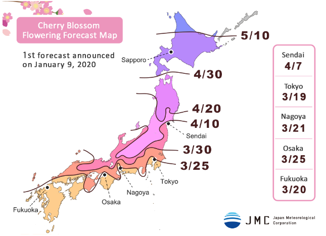 japan cherry blossom 2020 forecast