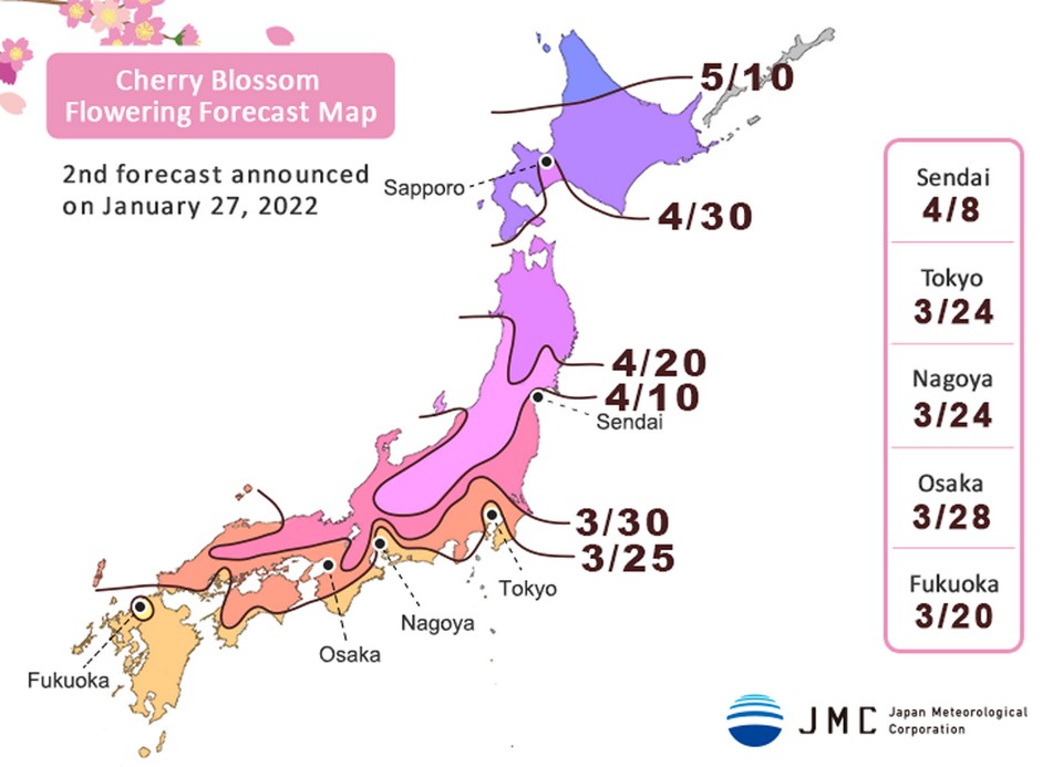 japan cherry blossom 2022 forecast