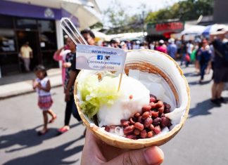 coconut ice cream-chatuchak-market (5)