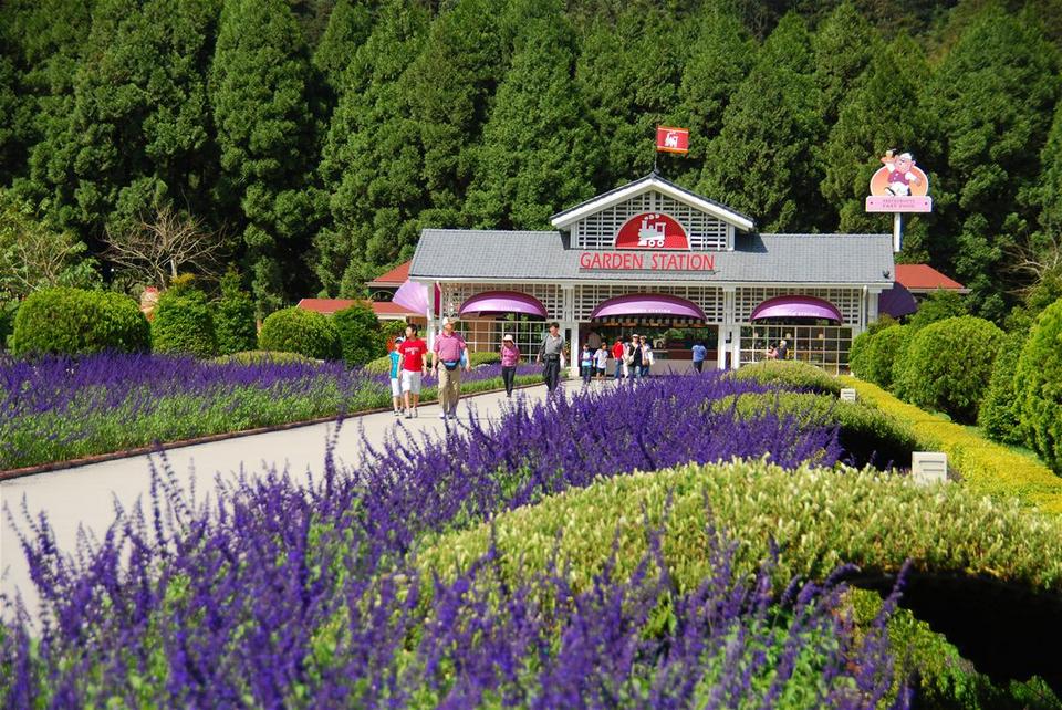 European romantic garden